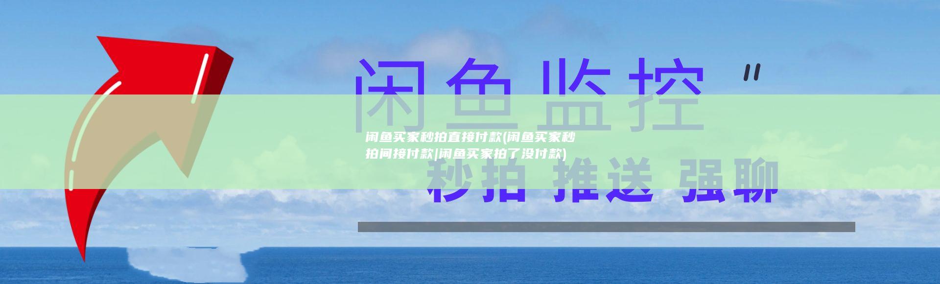 闲鱼买家秒拍直接付款 (闲鱼买家秒拍间接付款|闲鱼买家拍了没付款)