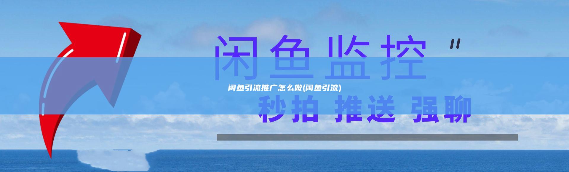 闲鱼引流推广怎么做 (闲鱼引流)