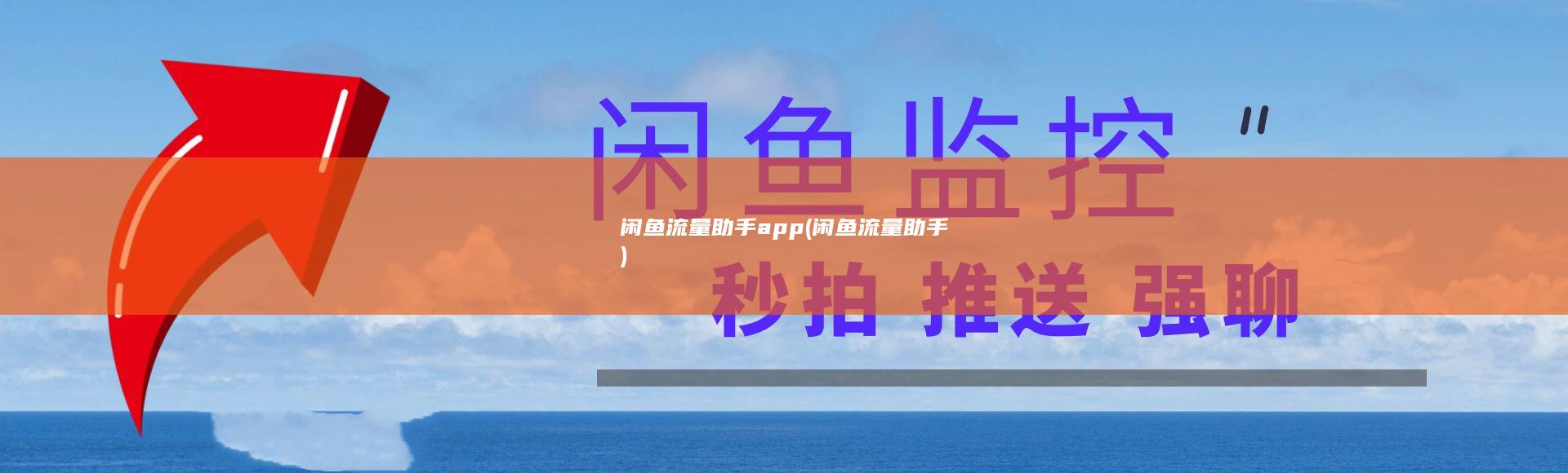 闲鱼流量助手app (闲鱼流量助手)