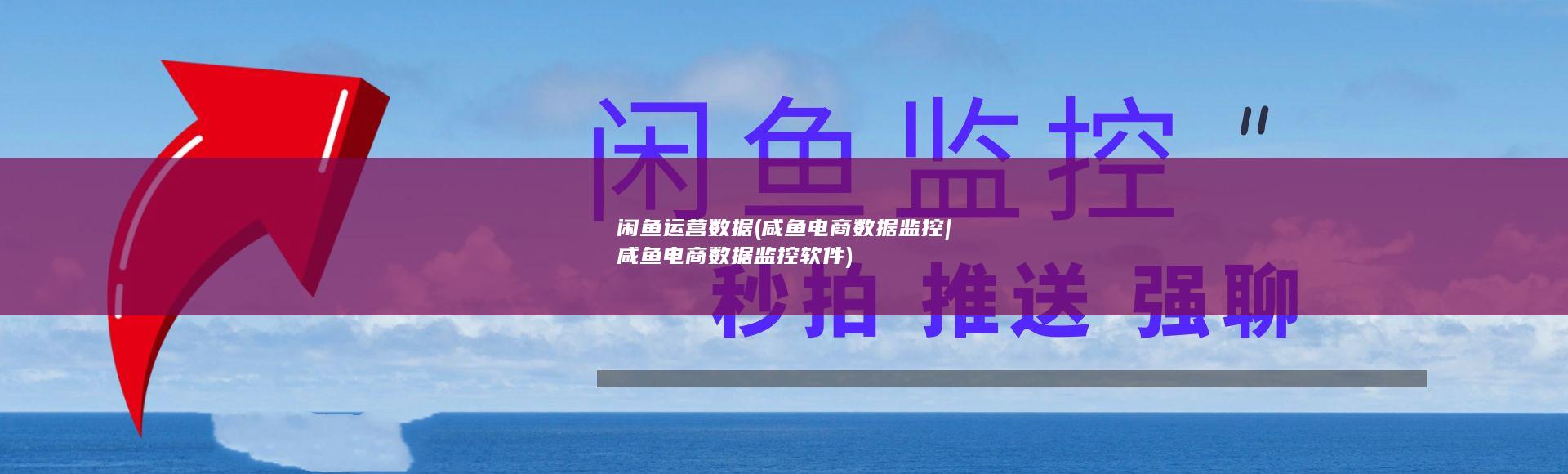 闲鱼运营数据 (咸鱼电商数据监控|咸鱼电商数据监控软件)