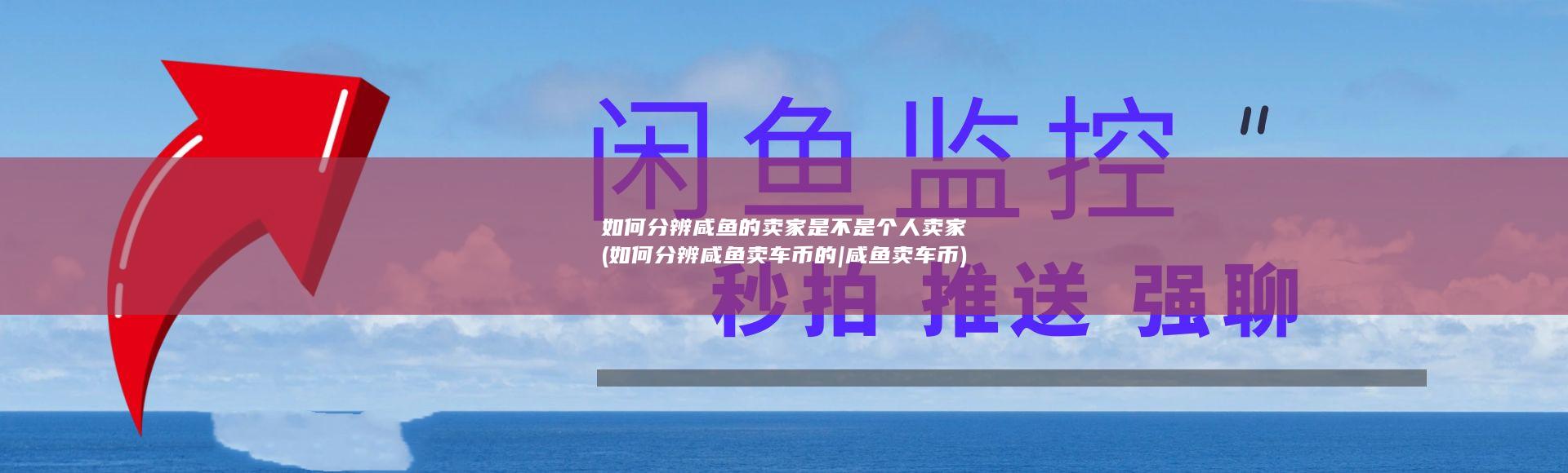 如何分辨咸鱼的卖家是不是个人卖家 (如何分辨咸鱼卖车币的|咸鱼卖车币)