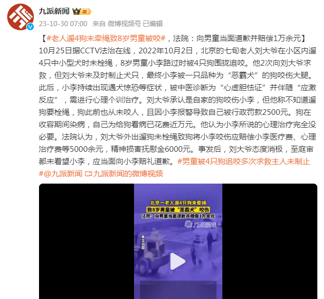 老人遛4狗未牵绳致8岁男童被咬，法院：向男童当面道歉并赔偿1万余元